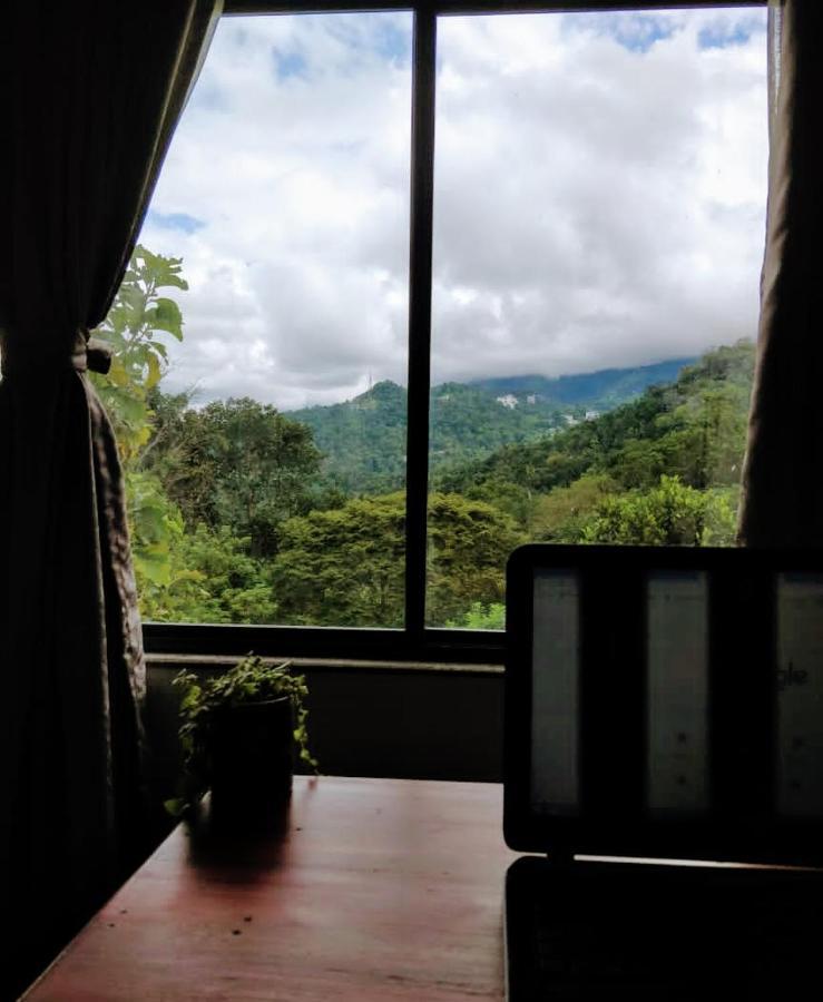 Mannoor Farms Mountain View Stays, Munnar Eksteriør billede
